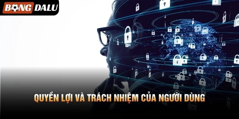 Quyền lợi và trách nhiệm của người dùng