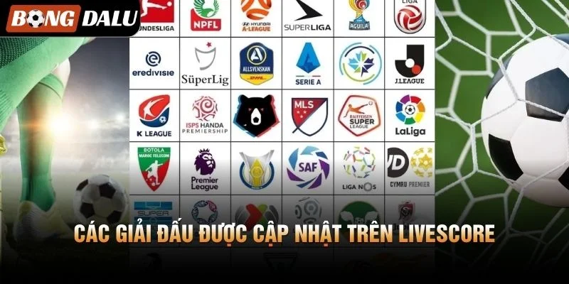 Các giải đấu được cập nhật trên Livescore