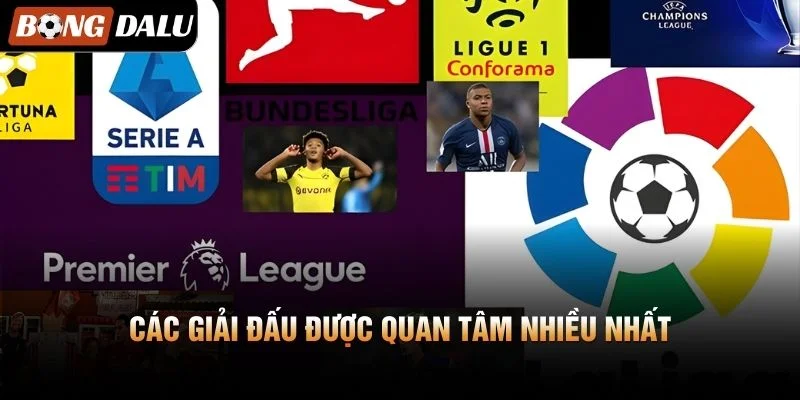 Các giải đấu được quan tâm nhiều nhất