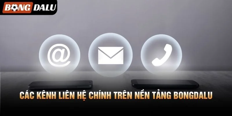Các kênh liên hệ chính trên nền tảng Bongdalu