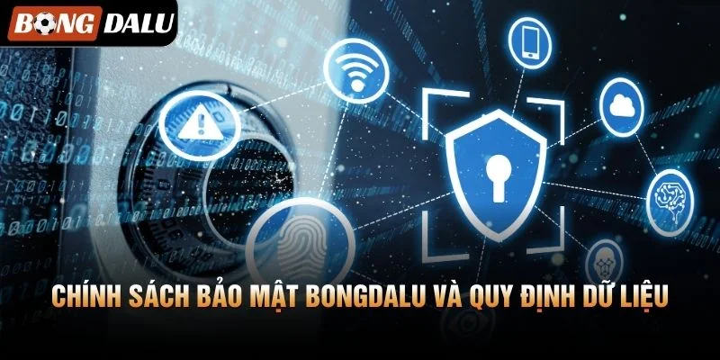 Quyền lợi và trách nhiệm của người dùng