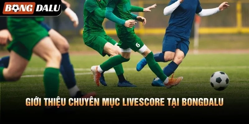 Giới thiệu chuyên mục Livescore tại Bongdalu