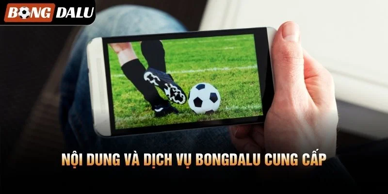 Nội dung và dịch vụ Bongdalu cung cấp