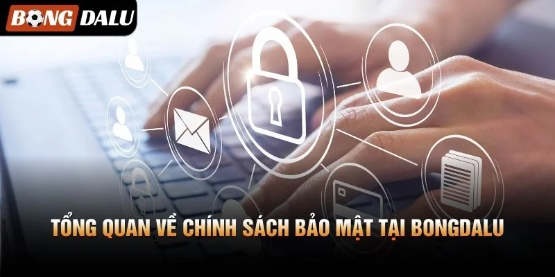 Tổng quan về Chính Sách Bảo Mật tại Bongdalu