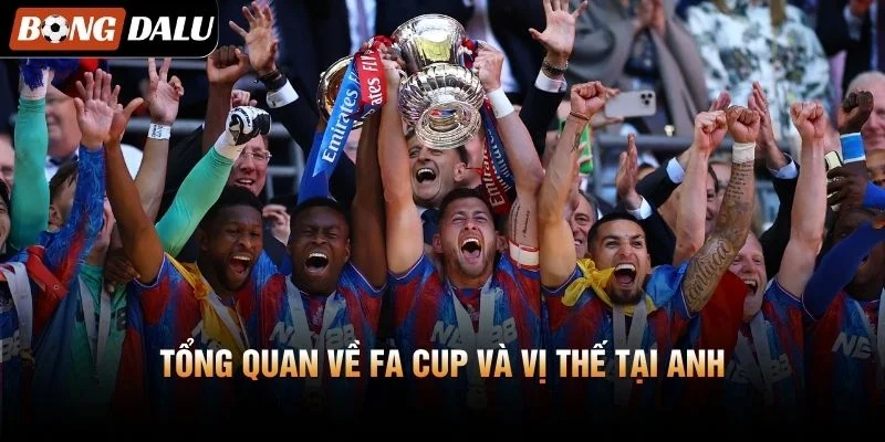 Tổng quan về FA Cup và vị thế tại Anh
