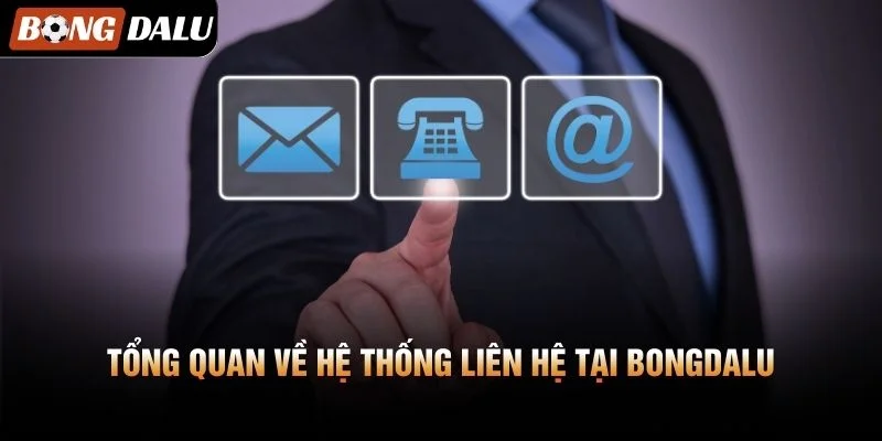 Tổng quan về hệ thống liên hệ tại Bongdalu