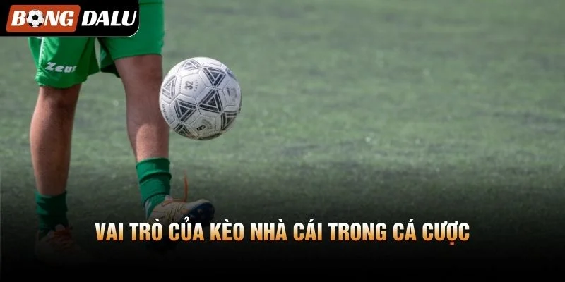 Vai Trò Của Kèo Nhà Cái Trong Cá Cược